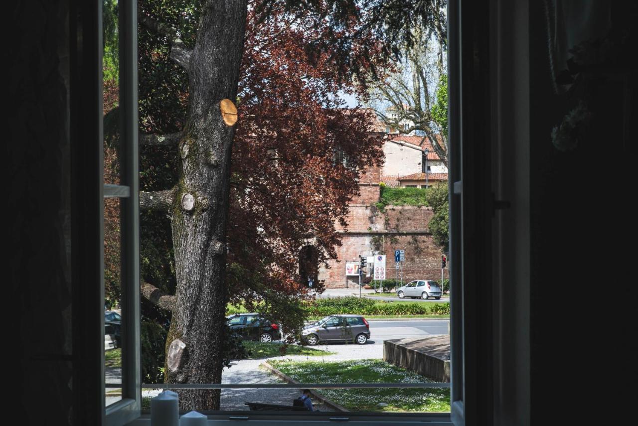 Belvedere Luxury Apartment, View On The Lucca Walls エクステリア 写真